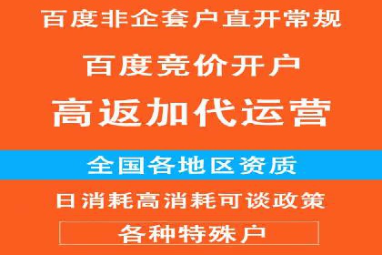 竞价开户推广案例营销策略